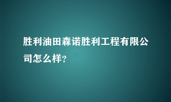 胜利油田森诺胜利工程有限公司怎么样？