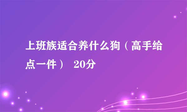 上班族适合养什么狗（高手给点一件）  20分