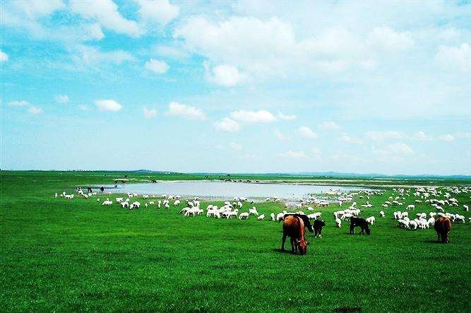 呼伦贝尔大草原在哪里?