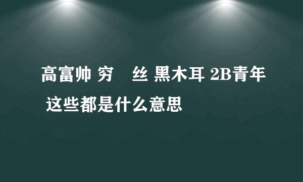 高富帅 穷屌丝 黑木耳 2B青年 这些都是什么意思