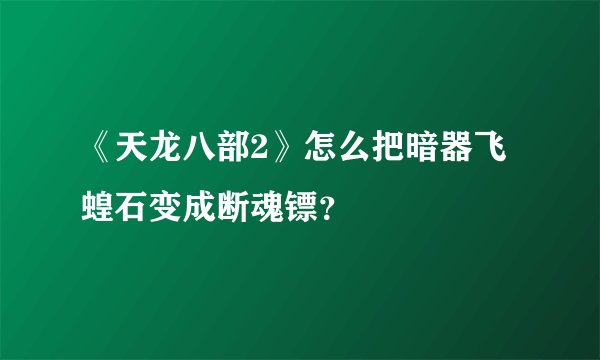 《天龙八部2》怎么把暗器飞蝗石变成断魂镖？