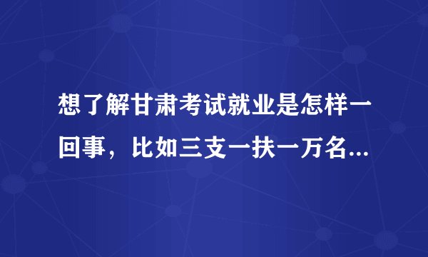 想了解甘肃考试就业是怎样一回事，比如三支一扶一万名是究竟是什么啊，我是医学生想参加考试考的是什么...