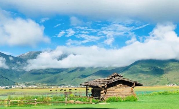 《司藤》达那是中国的哪个地方？