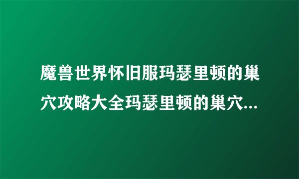 魔兽世界怀旧服玛瑟里顿的巢穴攻略大全玛瑟里顿的巢穴打法技巧