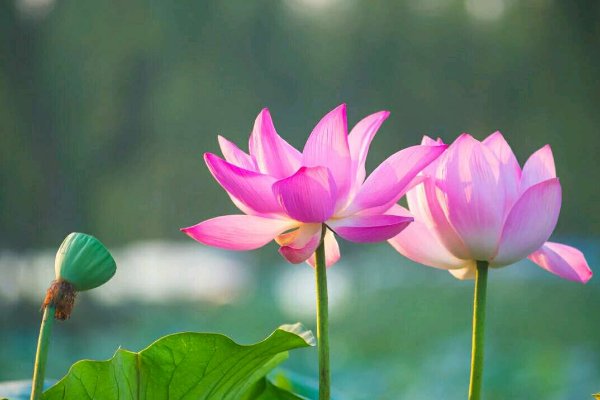 善言善行积善德下句