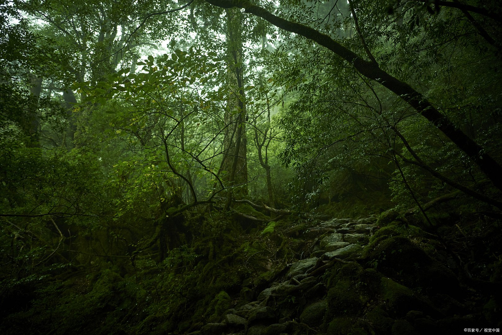 4名地质人员在哀牢山遭遇不测，他们为何没能走出哀牢山？