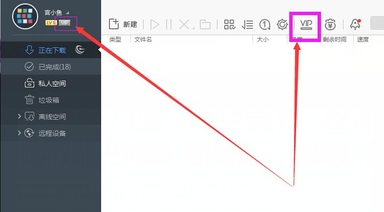 迅雷代金券怎么使用