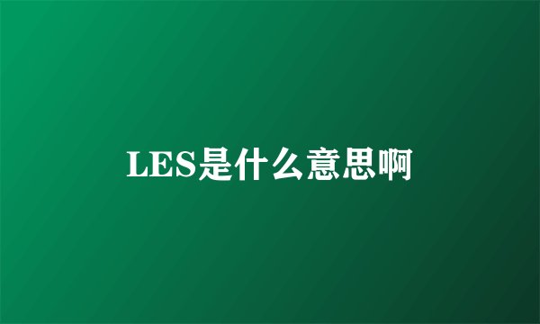 LES是什么意思啊