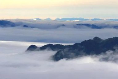 曾经沧海难为水，除却巫山不是云什么意思？