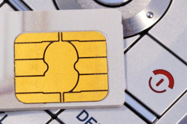 怎么查询手机服务密码？