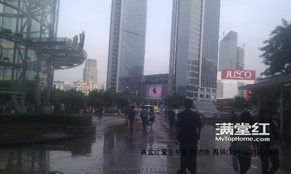 恋爱中的维多利亚的影片信息