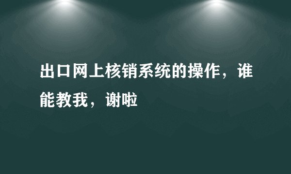 出口网上核销系统的操作，谁能教我，谢啦