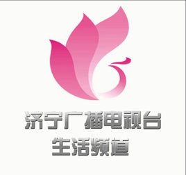 济宁电视台公共频道的主要栏目