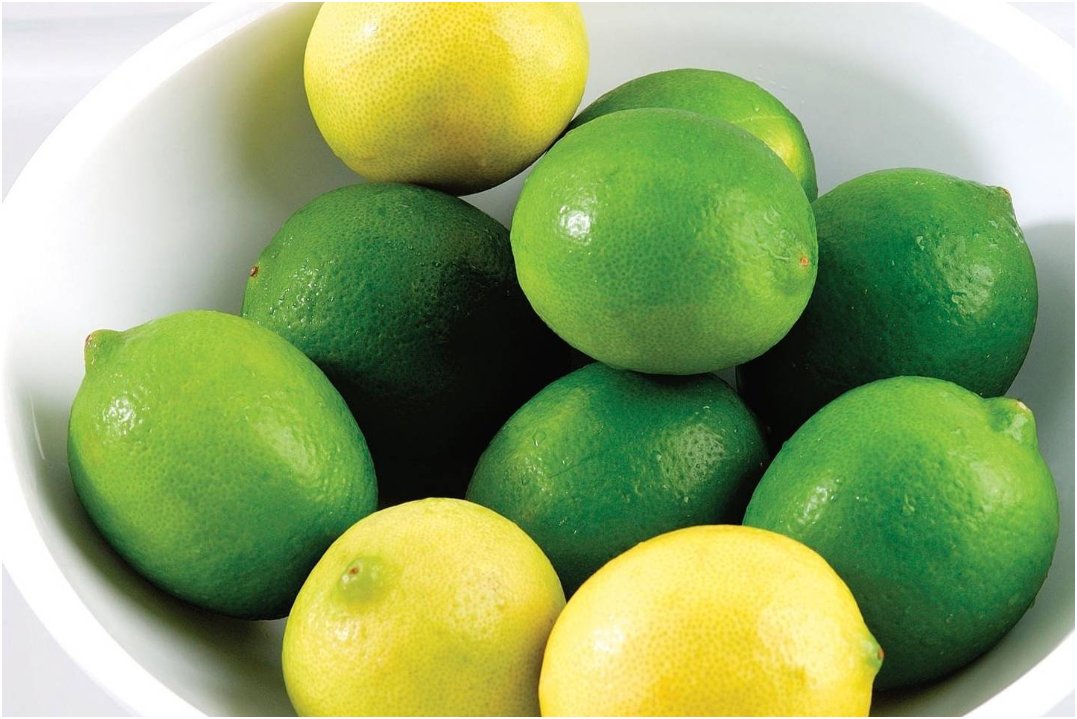 蚂蚁会破坏家具吗