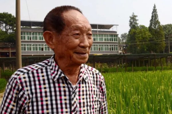袁隆平的事迹简短