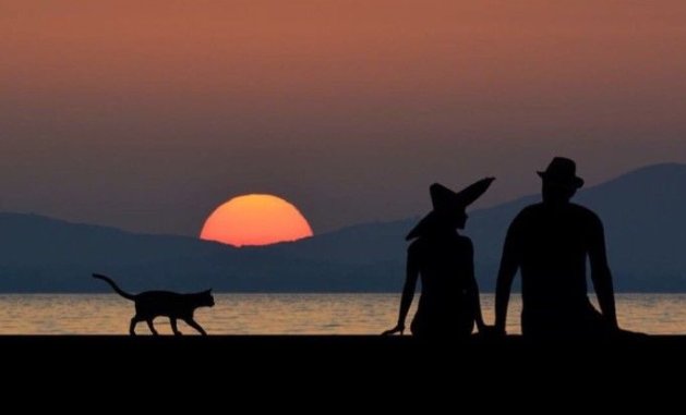 世事无常，怎么理解？