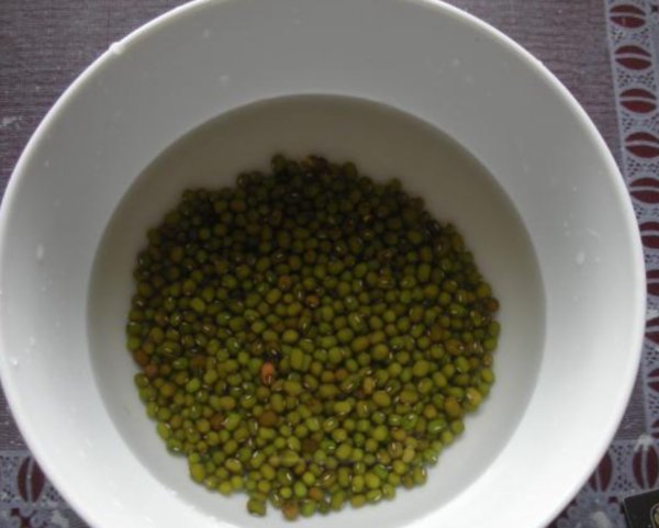 绿豆前七天生长每一天有什么变化？