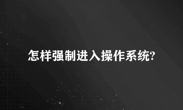 怎样强制进入操作系统?