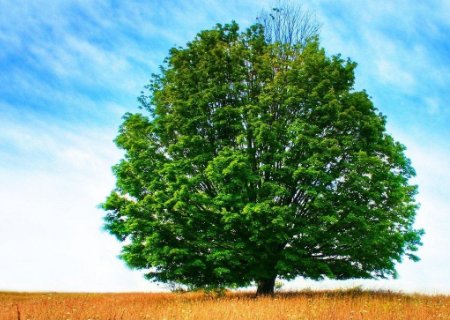 美的感官手套发售,美的为何会向手套行业进军?