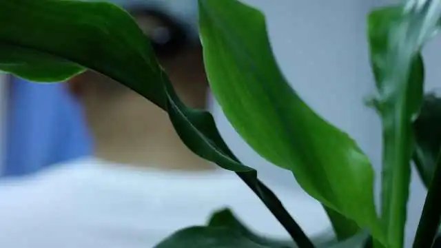 东北男子遭妻子精神家暴致抑郁，你如何看待这件事？