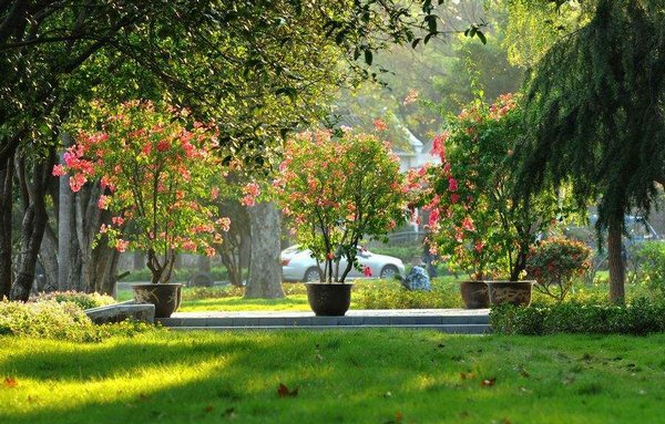 请问远景和全景，近景和特写的区别？
