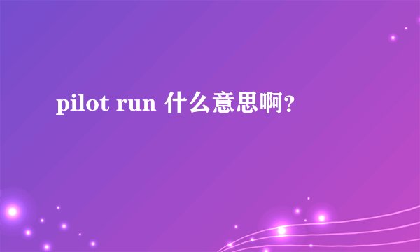 pilot run 什么意思啊？