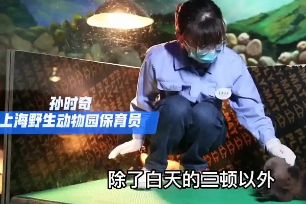 上海300名员工和动物一起隔离60天,他们是怎么度过这些天的?