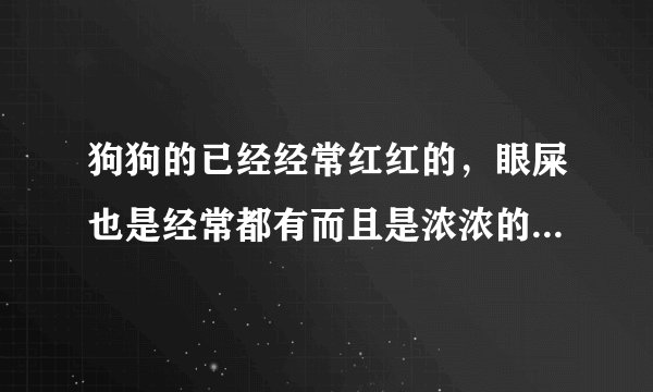狗狗的已经经常红红的，眼屎也是经常都有而且是浓浓的，我上火的药也给它吃了，眼药水也点了，