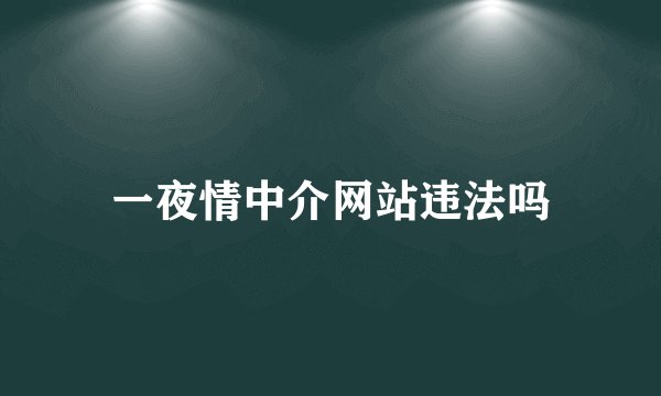 一夜情中介网站违法吗