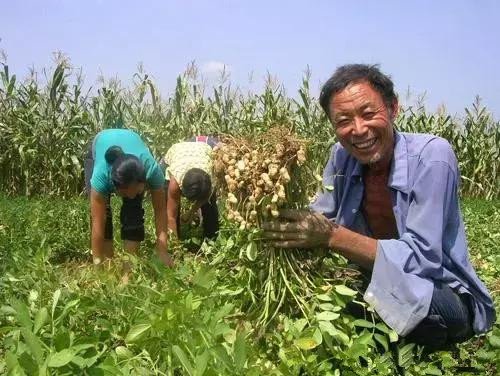 山西一村民给书记塞花生,你如何看待村民这一行为?