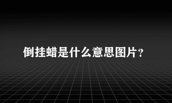 倒挂蜡是什么意思图片？