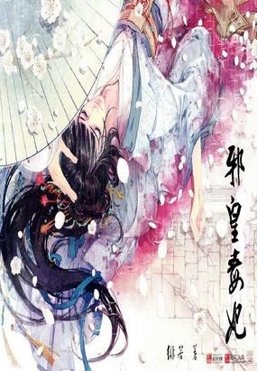 邪皇傻后的作品介绍