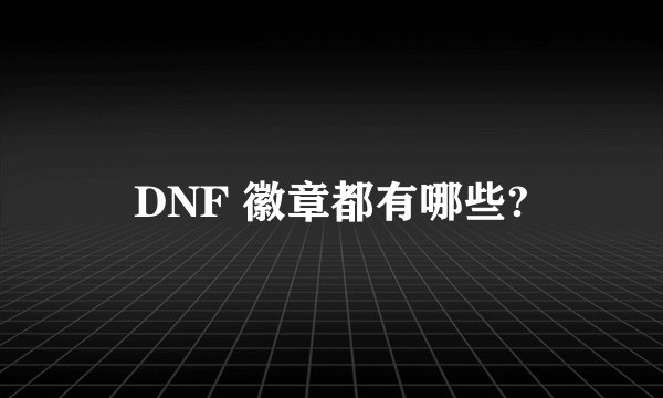DNF 徽章都有哪些?