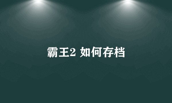 霸王2 如何存档