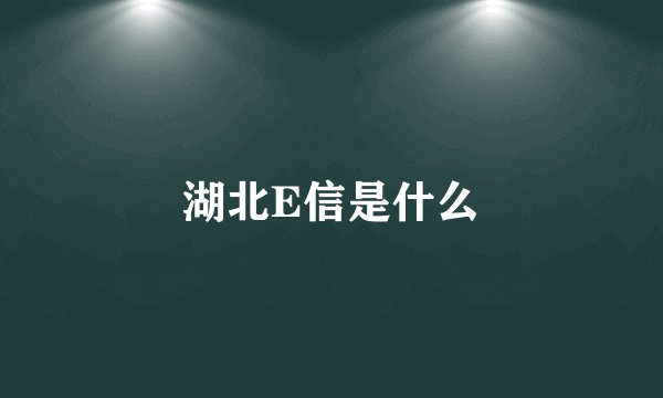 湖北E信是什么