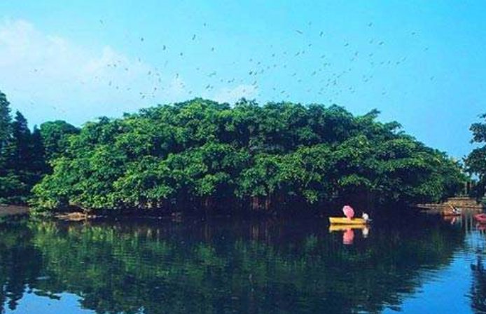 “《鸟的天堂》”在哪个地方？