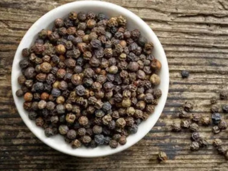 黑色黄金是指什么蚂蚁