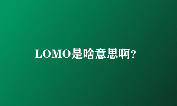 LOMO是啥意思啊？