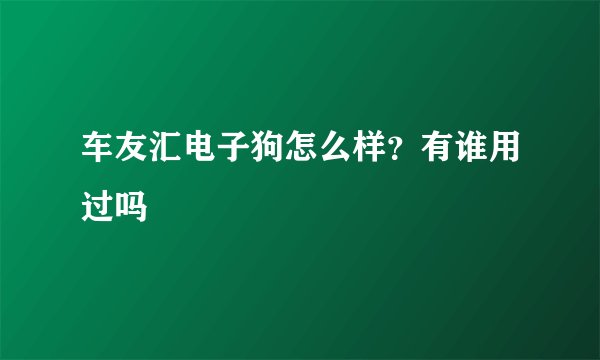车友汇电子狗怎么样？有谁用过吗