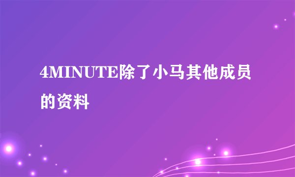 4MINUTE除了小马其他成员的资料