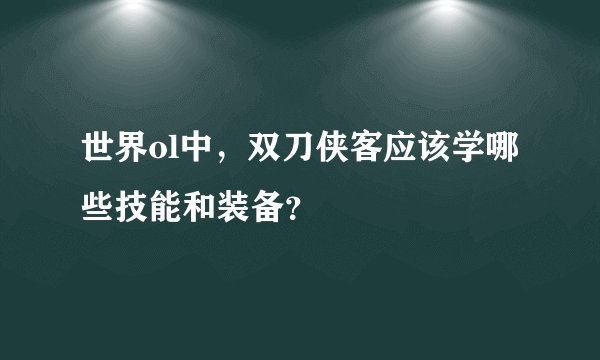 世界ol中，双刀侠客应该学哪些技能和装备？