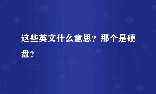 这些英文什么意思？那个是硬盘？