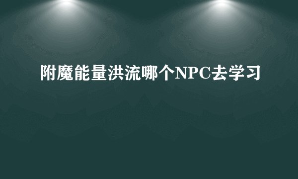 附魔能量洪流哪个NPC去学习