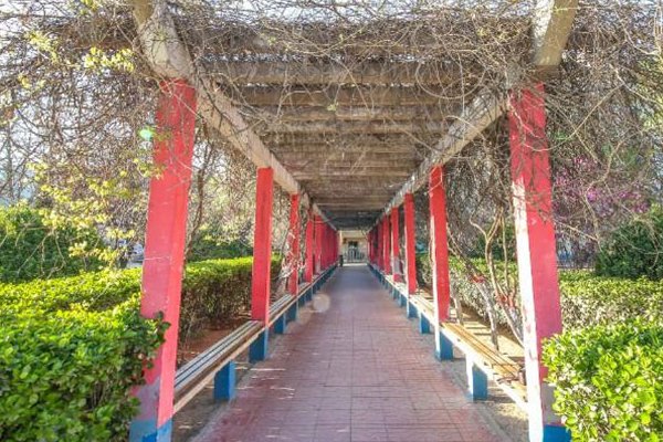 石家庄铁路职业技术学院投档线