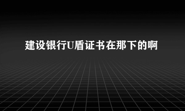 建设银行U盾证书在那下的啊