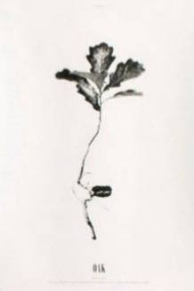 一个男人和我x一次他给我1000，隔个十天半月他就会找我，我真郁闷。他就那么舍得花钱吗