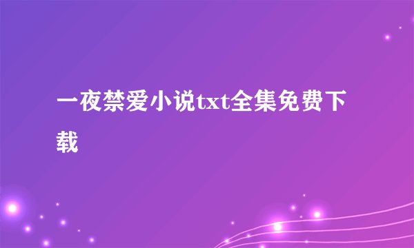 一夜禁爱小说txt全集免费下载