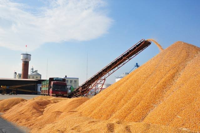 玉米每吨上涨400元，致其涨价的原因是什么