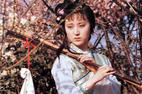 《红楼梦》主要事件有哪些？