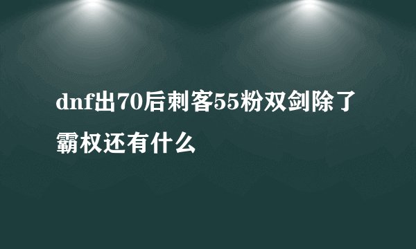 dnf出70后刺客55粉双剑除了霸权还有什么